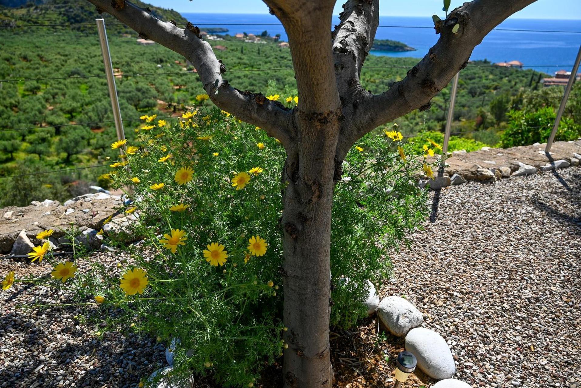 Athina'S Stone House In Kardamyli Villa Екстериор снимка