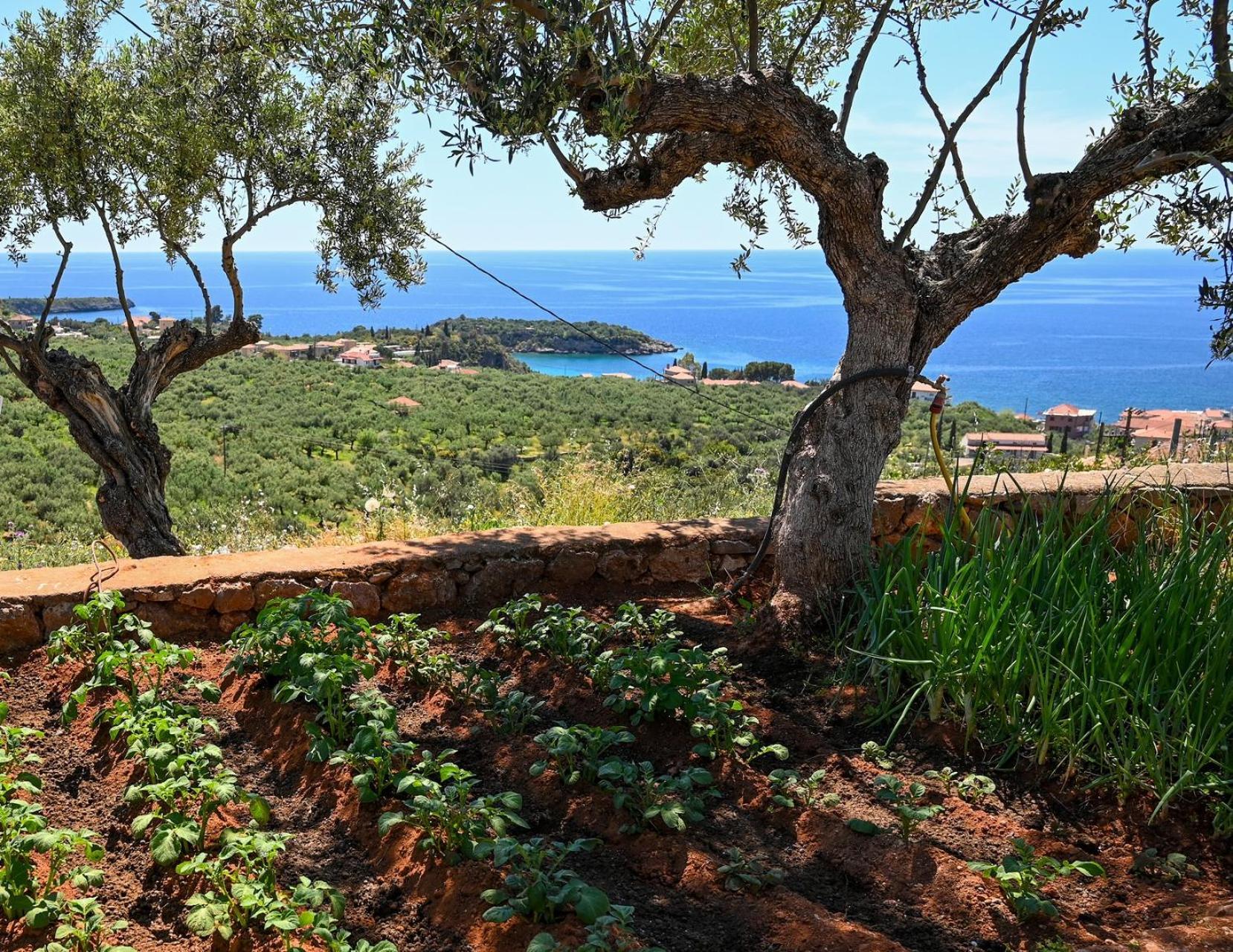 Athina'S Stone House In Kardamyli Villa Екстериор снимка