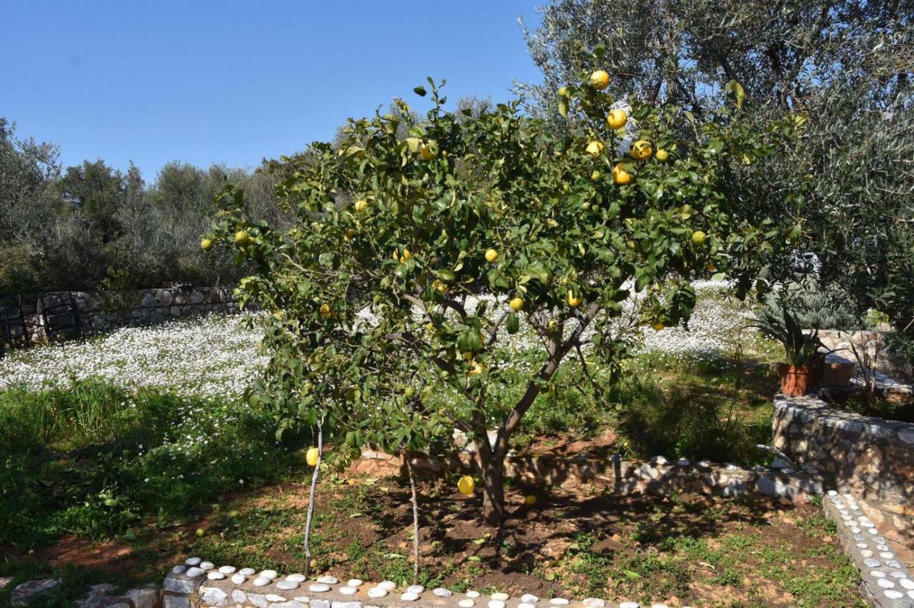 Athina'S Stone House In Kardamyli Villa Екстериор снимка